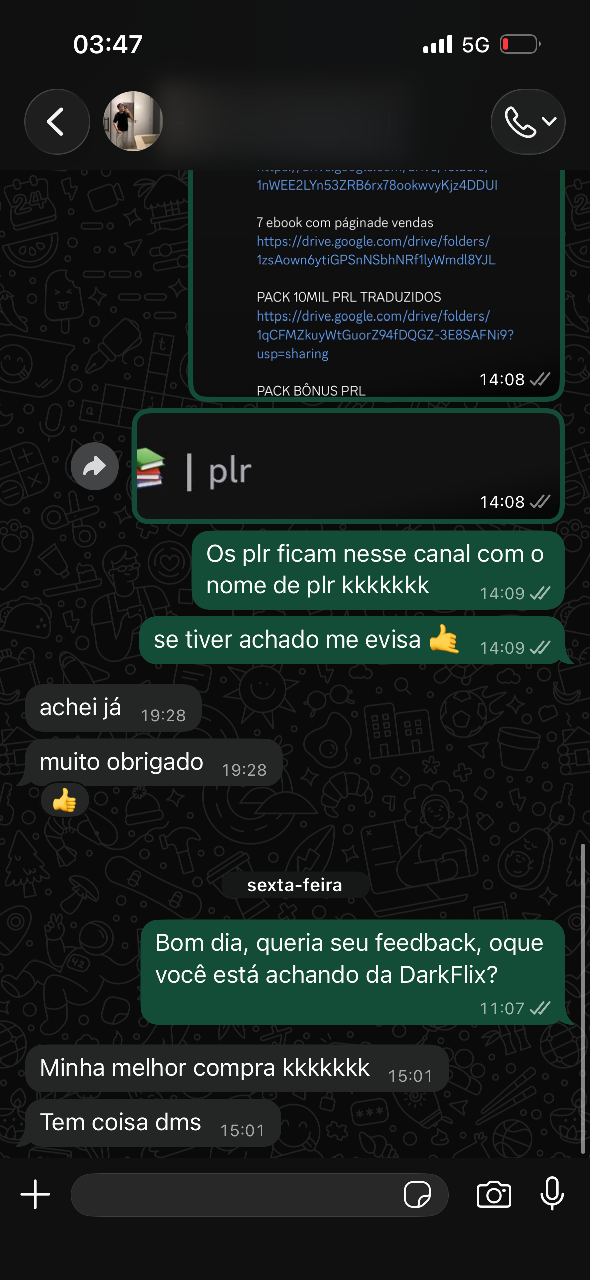 Depoimento 2 de um membro da DarkFlix no WhatsApp